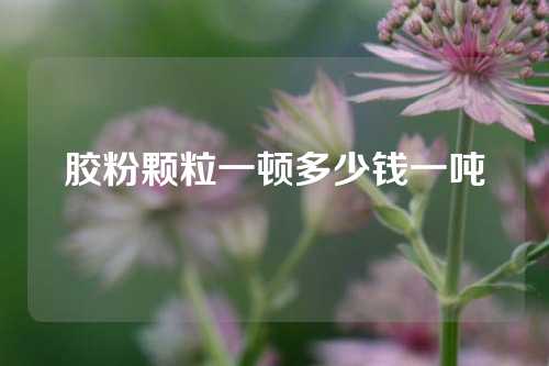 胶粉颗粒一顿多少钱一吨