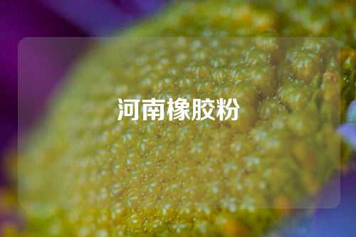 河南橡胶粉