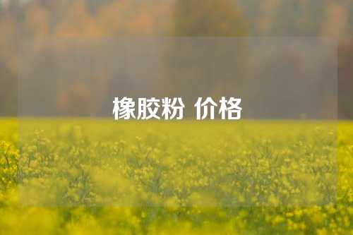 橡胶粉 价格