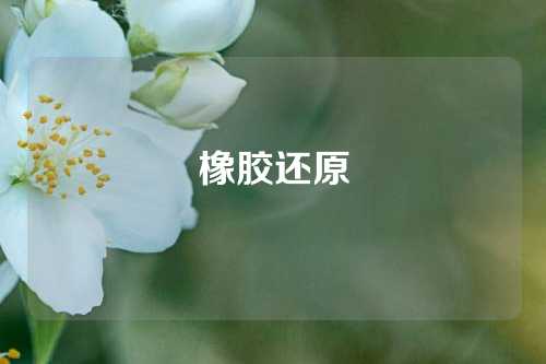 橡胶还原