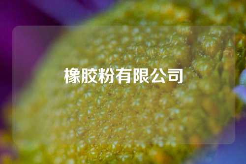橡胶粉有限公司