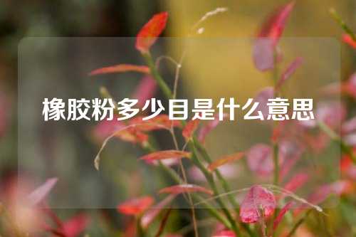 橡胶粉多少目是什么意思