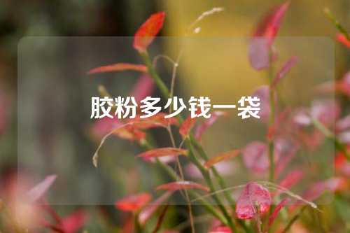 胶粉多少钱一袋