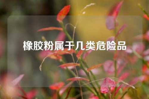 橡胶粉属于几类危险品