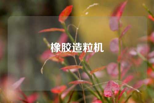 橡胶造粒机