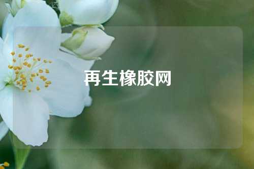 再生橡胶网