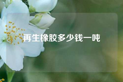 再生橡胶多少钱一吨