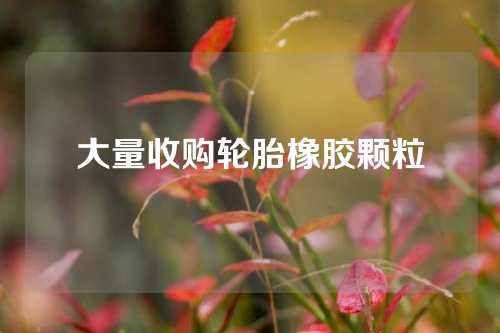 大量收购轮胎橡胶颗粒
