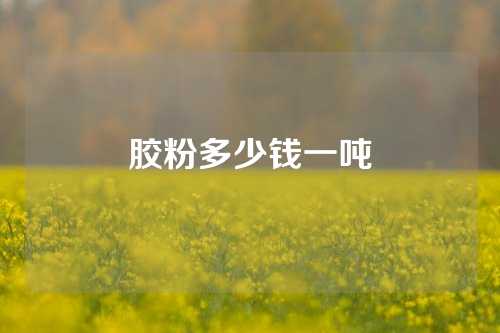 胶粉多少钱一吨