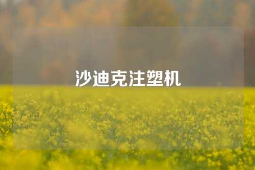 沙迪克注塑机