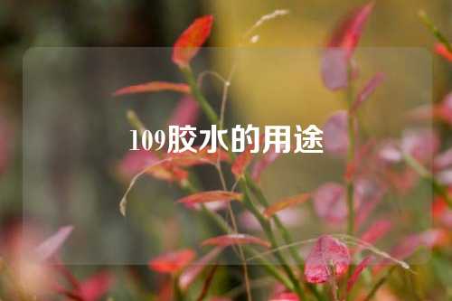 109胶水的用途