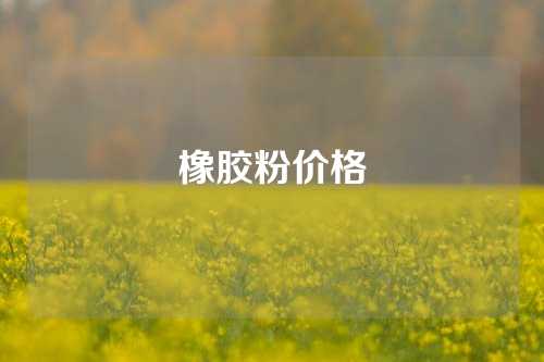 橡胶粉价格
