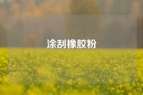 涂刮橡胶粉