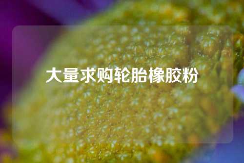 大量求购轮胎橡胶粉