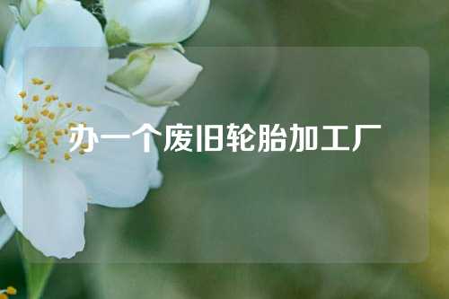 办一个废旧轮胎加工厂