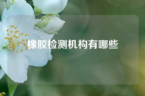 橡胶检测机构有哪些
