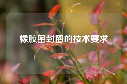 橡胶密封圈的技术要求