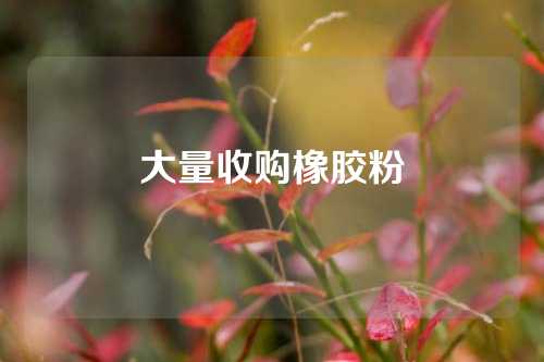 大量收购橡胶粉