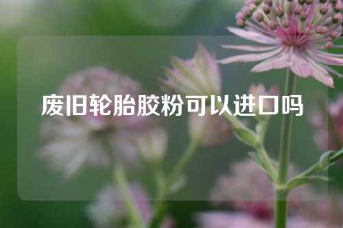 废旧轮胎胶粉可以进口吗