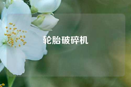 轮胎破碎机