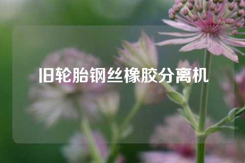 旧轮胎钢丝橡胶分离机