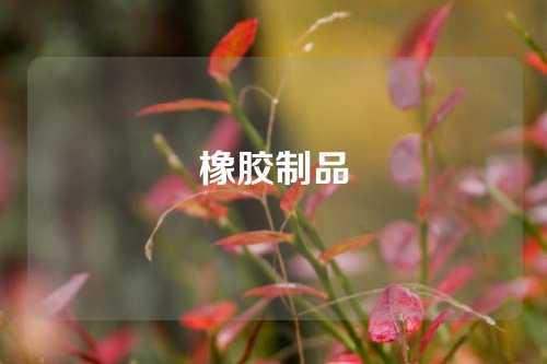 橡胶制品