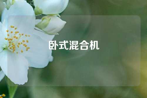 卧式混合机