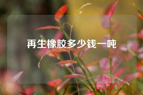 再生橡胶多少钱一吨
