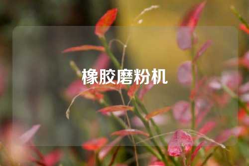 橡胶磨粉机