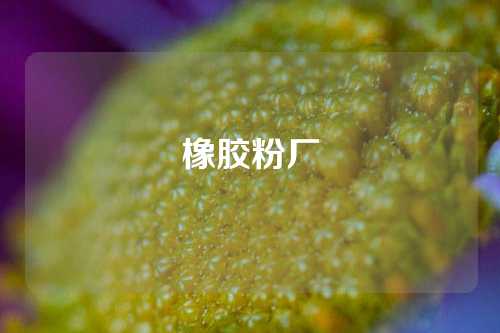 橡胶粉厂