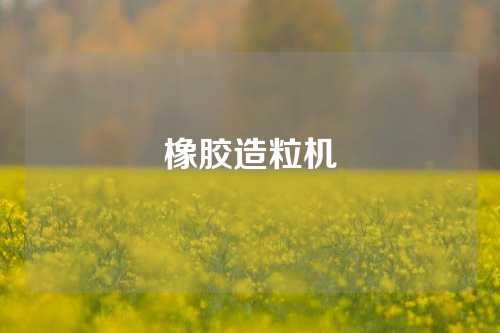 橡胶造粒机