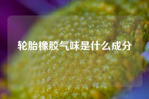 轮胎橡胶气味是什么成分