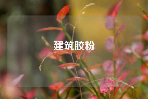建筑胶粉