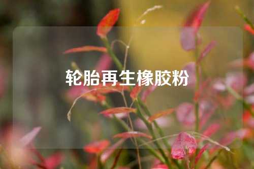 轮胎再生橡胶粉