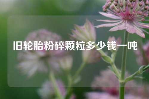 旧轮胎粉碎颗粒多少钱一吨