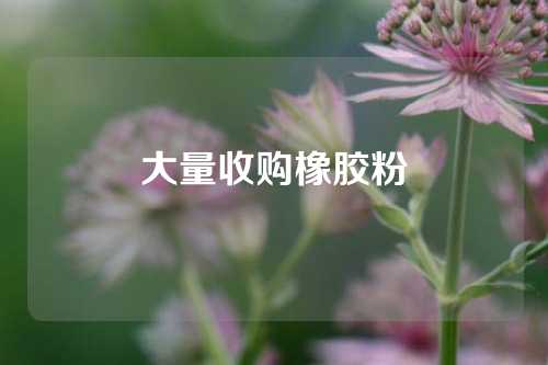 大量收购橡胶粉