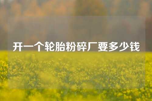 开一个轮胎粉碎厂要多少钱