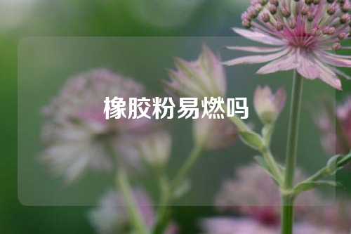 橡胶粉易燃吗
