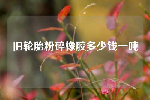 旧轮胎粉碎橡胶多少钱一吨