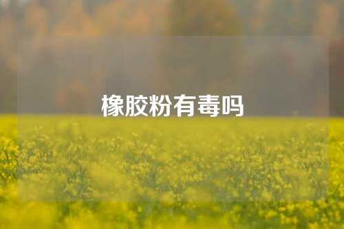 橡胶粉有毒吗