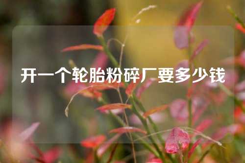 开一个轮胎粉碎厂要多少钱