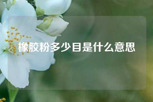 橡胶粉多少目是什么意思