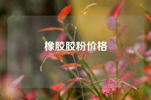 橡胶胶粉价格