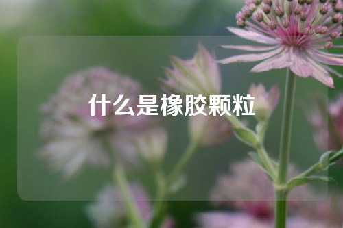 什么是橡胶颗粒