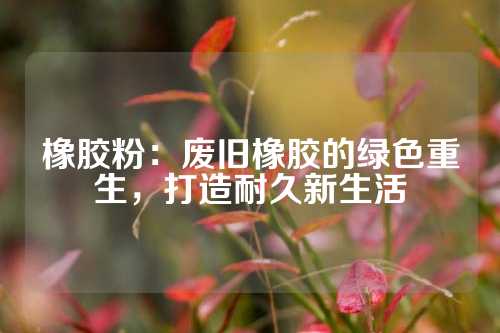 橡胶粉：废旧橡胶的绿色重生，打造耐久新生活