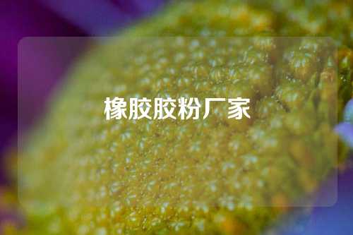橡胶胶粉厂家