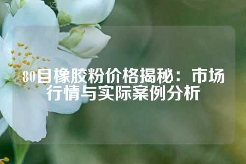 80目橡胶粉价格揭秘：市场行情与实际案例分析