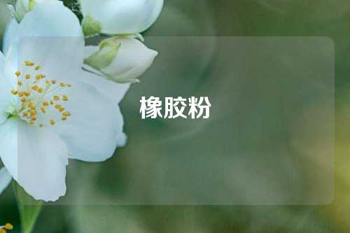 橡胶粉