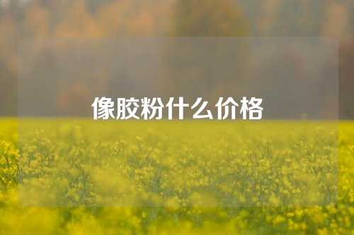 像胶粉什么价格