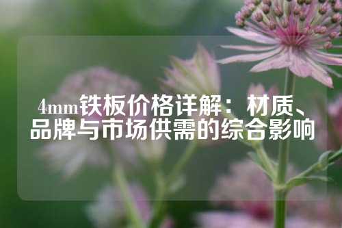 4mm铁板价格详解：材质、品牌与市场供需的综合影响